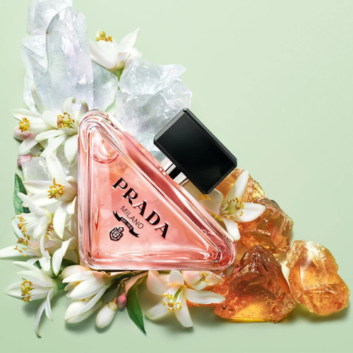 Prada Paradoxe