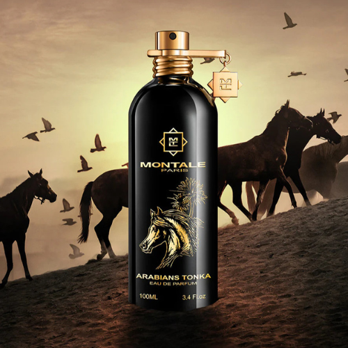 Montale Arabians Tonka