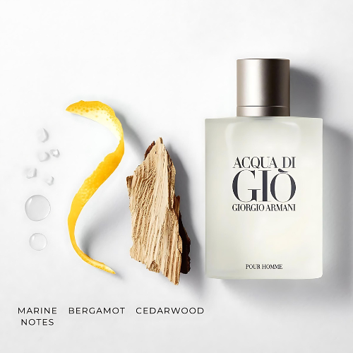 Armani Acqua di Gio Pour Homme